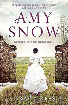 Book cover for Amy Snow