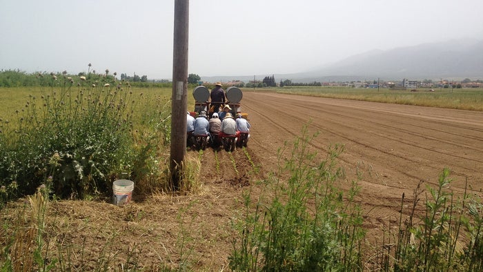 Farmers in the Balkans