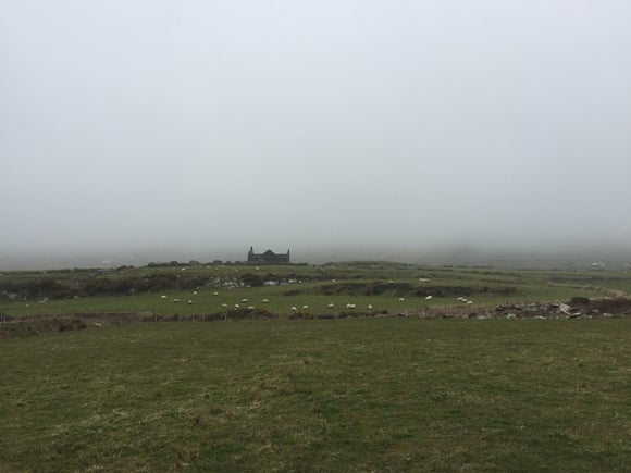 A field, with sheep in the background and beyond them the ruin of a cottage in the distance surrounded by thick fog