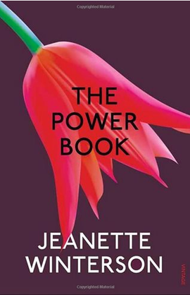 Book cover for The Powerbook  (2000)
