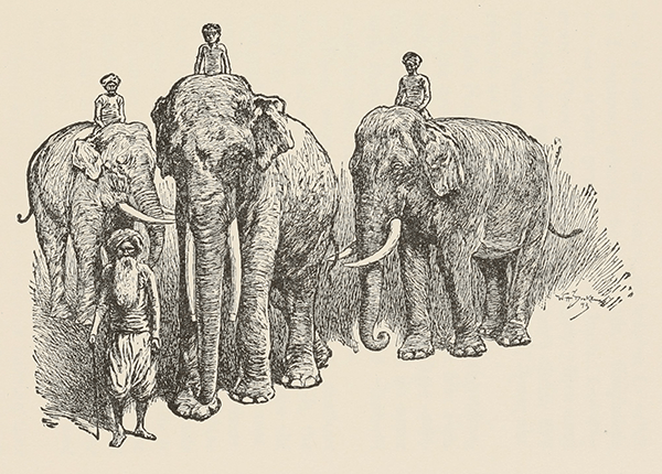 Kala Nag stood ten fair feet at the shoulder – from “Toomai of the Elephants”.