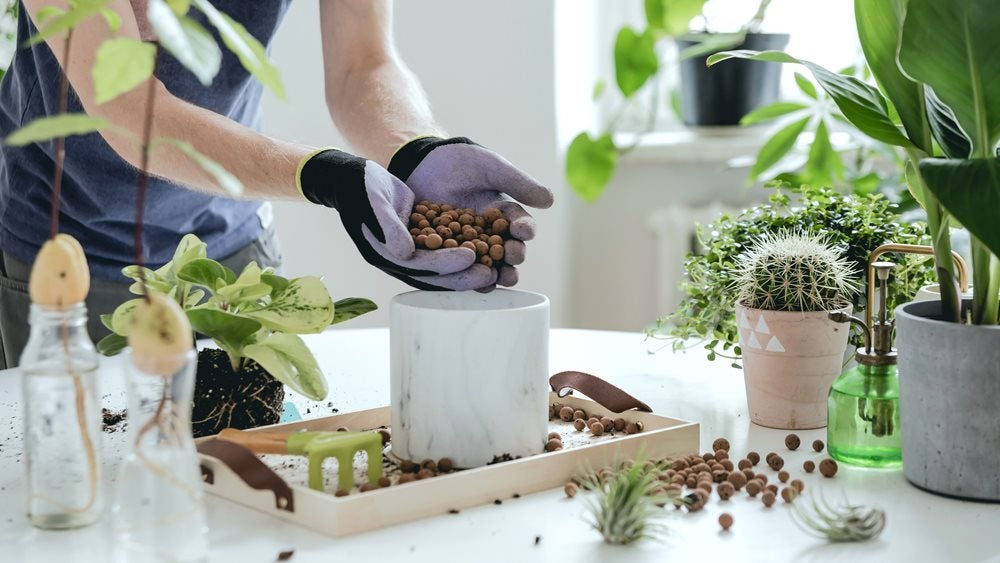Man filling plant pot on table covered in plants