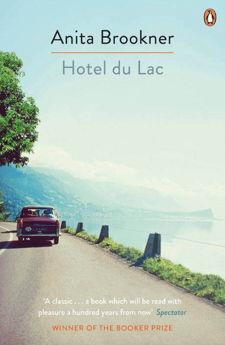 Book cover for Hotel du Lac