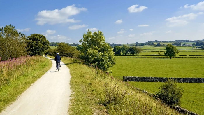 person riding a bike on a gravel trail through country side on a sunny day with green fields and purple flowers