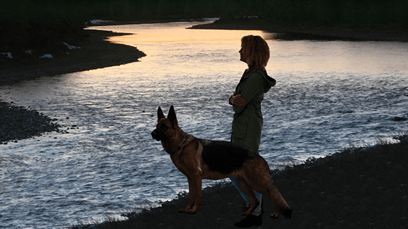 Woman and German Shepherd dog looking out onto a lake 