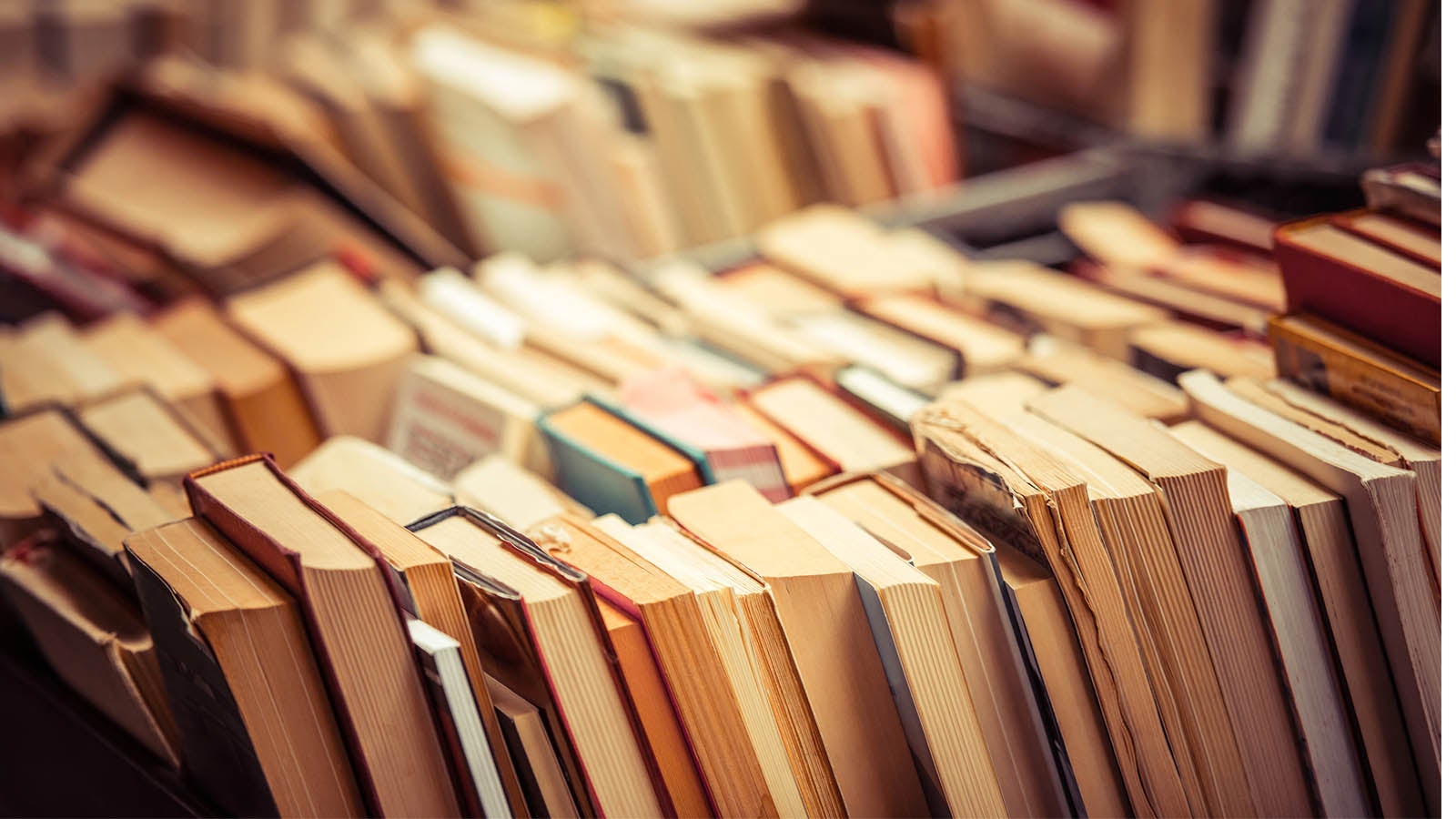 Stacks of books in rows