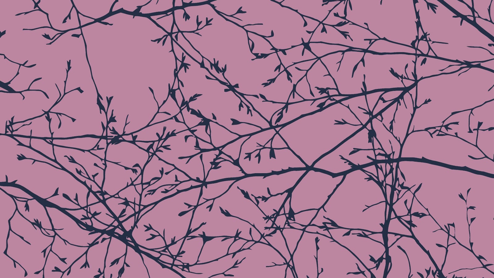 Pattern on blue branches against a pink background taken from the cover of Kate Clanchy's Selected Poems