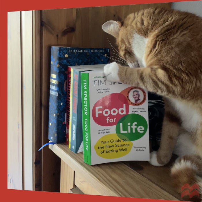 Eddie, a ginger and white cat, knocking over books on a shelf. You can't read what isn't there... 
