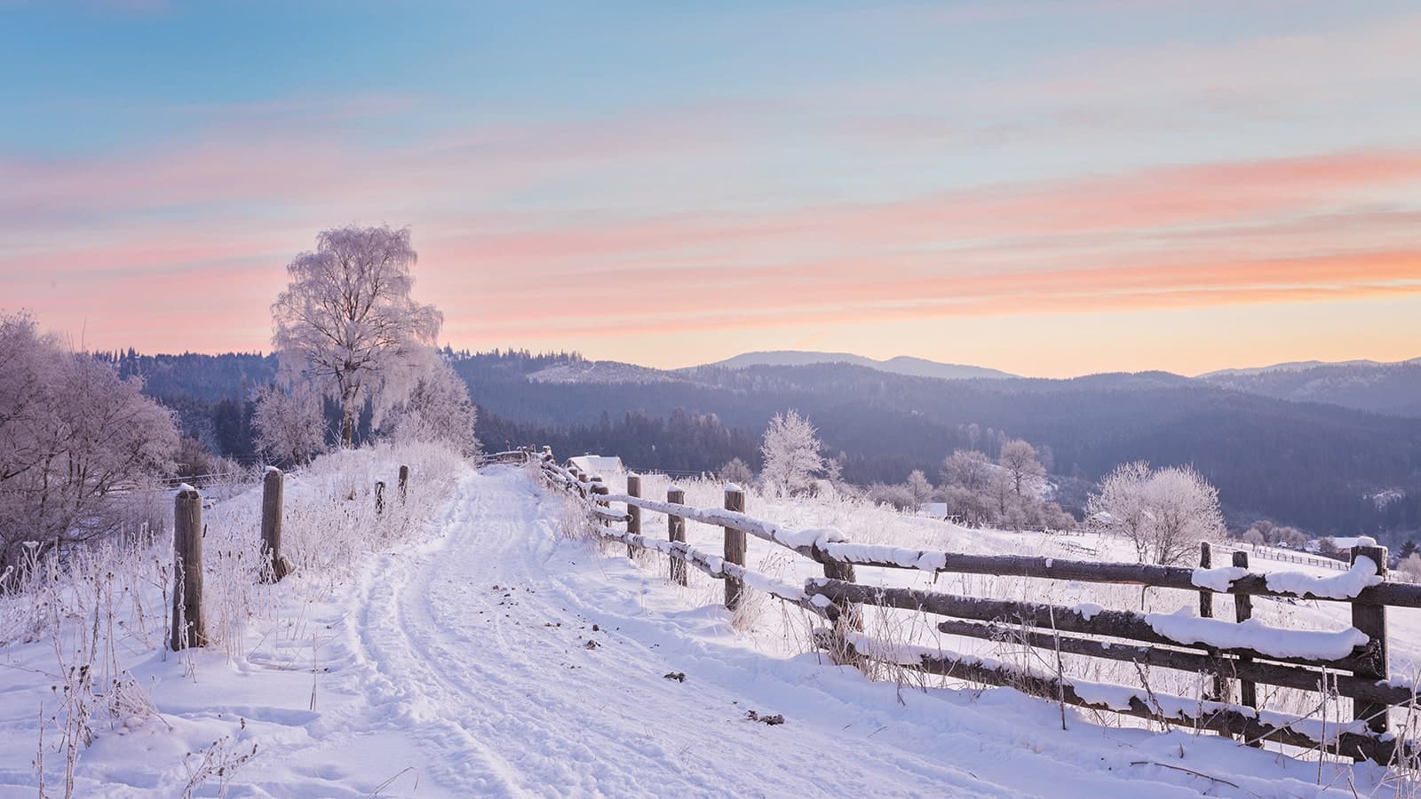 A snow-covered country lane with fields on either side
