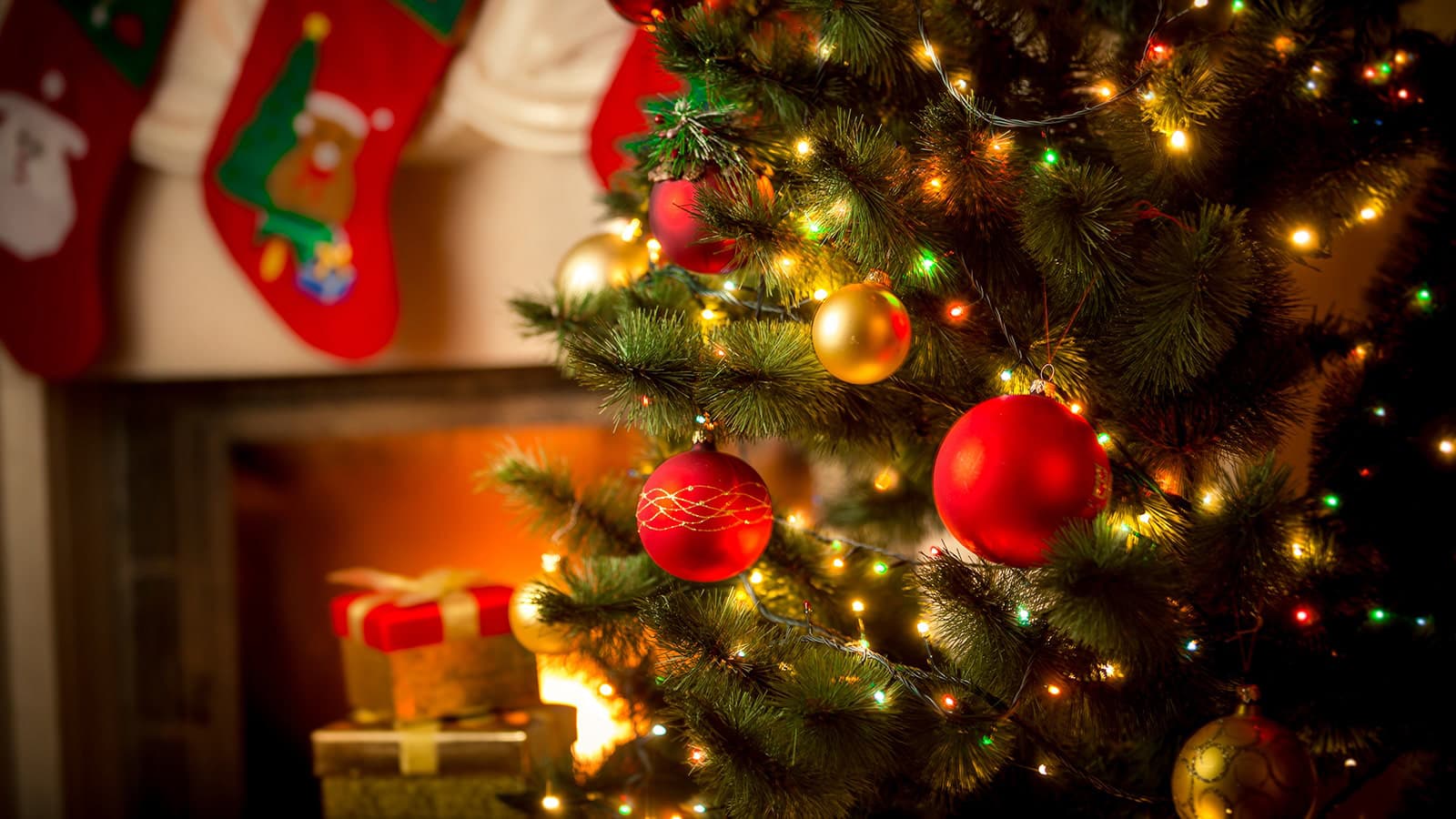 Christmas tree with red and gold decorations, stockings hung at a fireplace