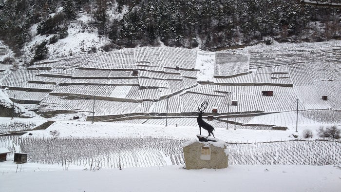 Rhône Valley in the snow