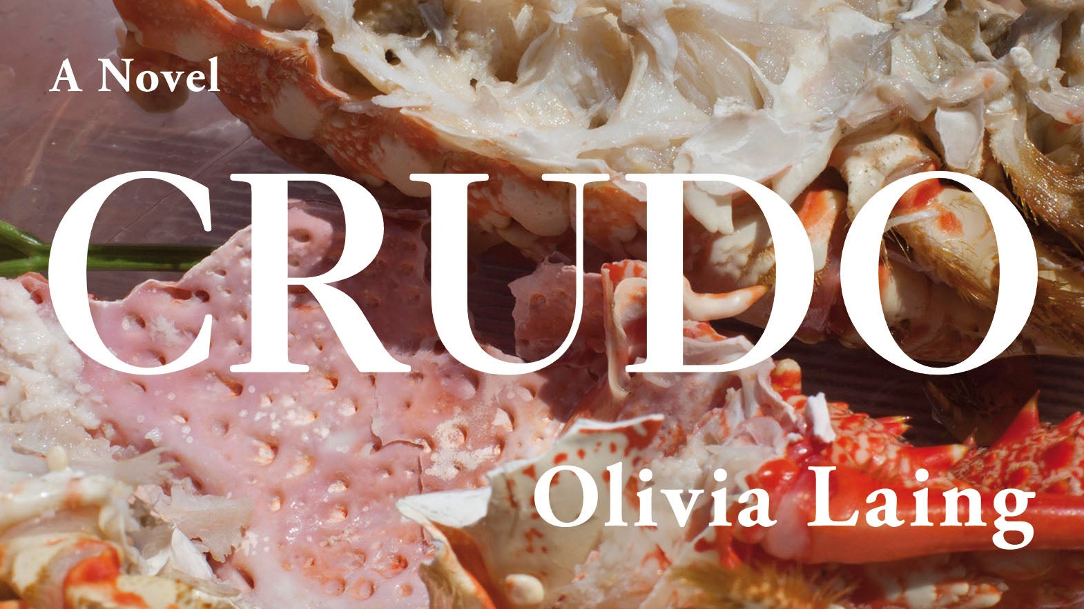 Olivia Laing Crudo cover artwork