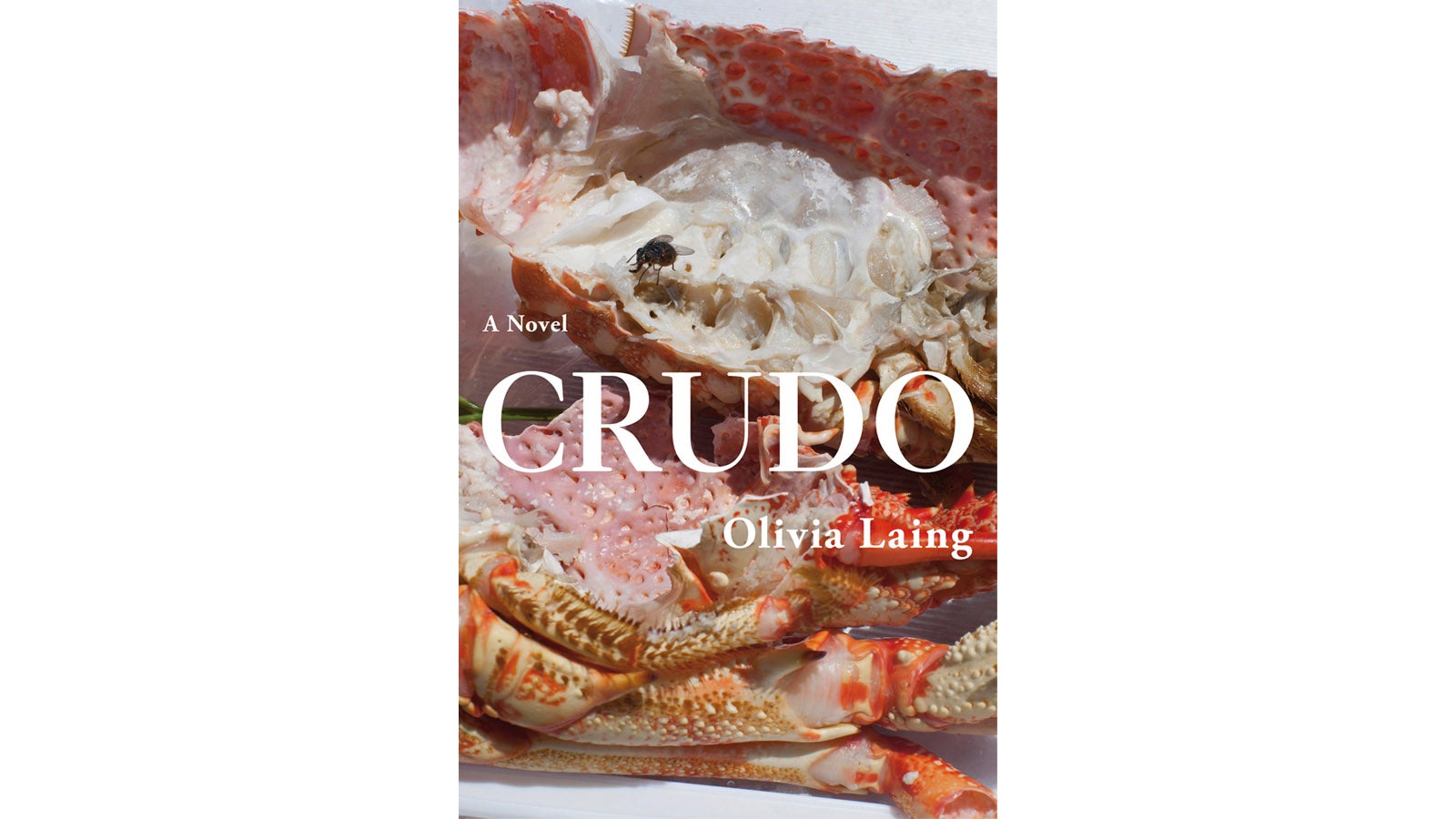 Book cover of Crudo