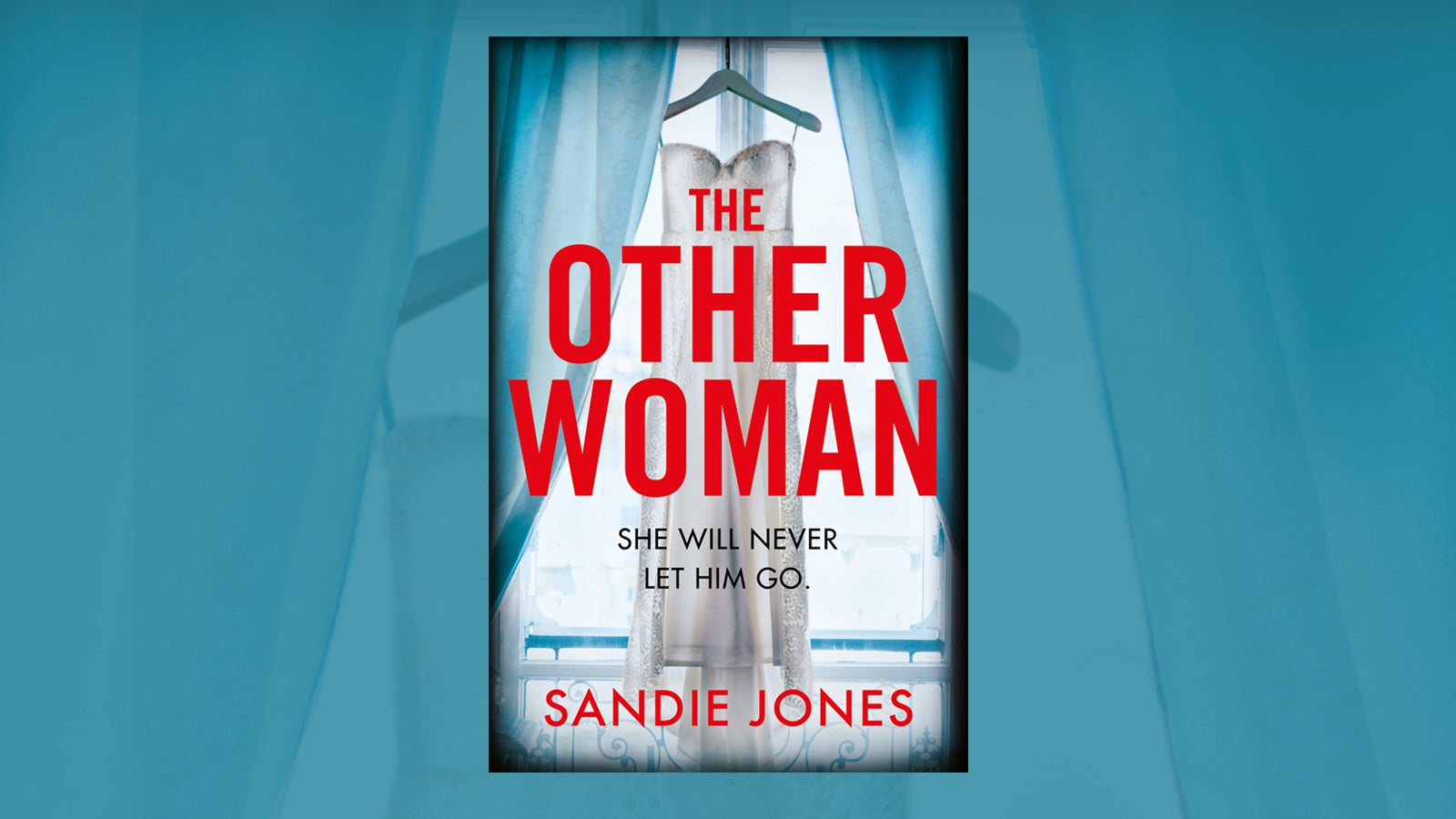 Book cover of The Other Woman on a blue background