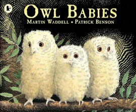 Book cover for Owl Babies