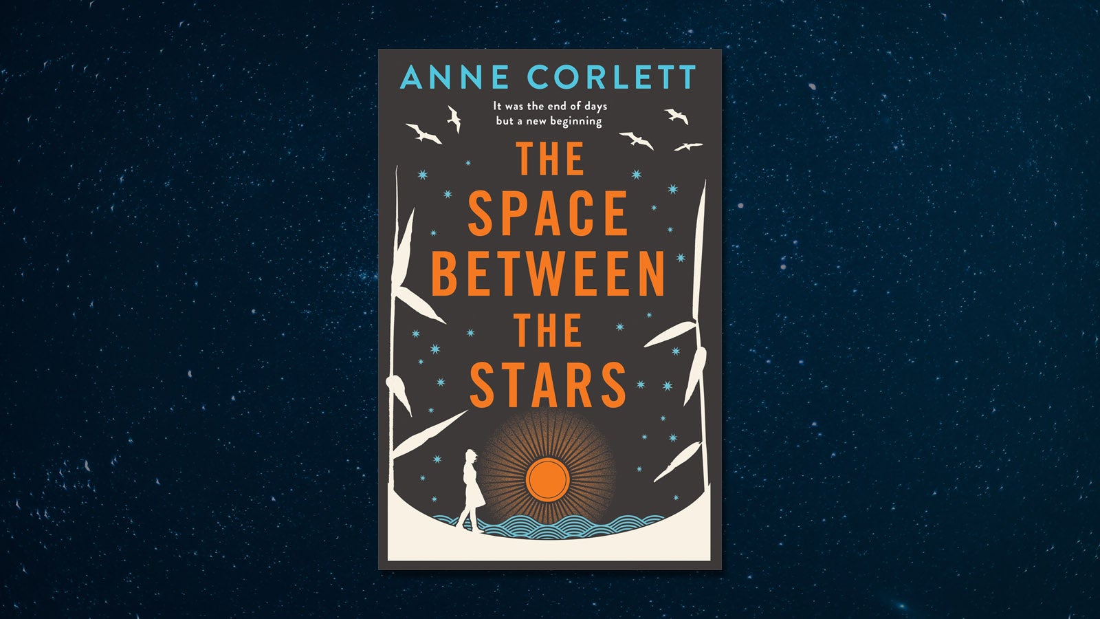 space-between-the-stars-anne-corlett.jpg