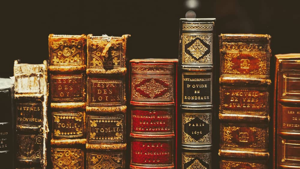Old leather book spines