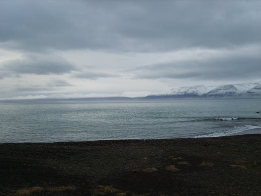 Black sand of Iceland's northern beaches