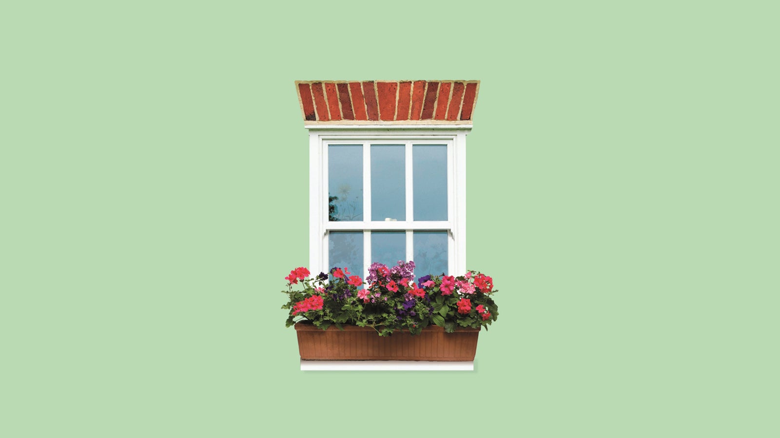A green background with a window and a windowbox full of flowers. Illustration taken from the jacket of An Unsuitable Match by Joanna Trollope.