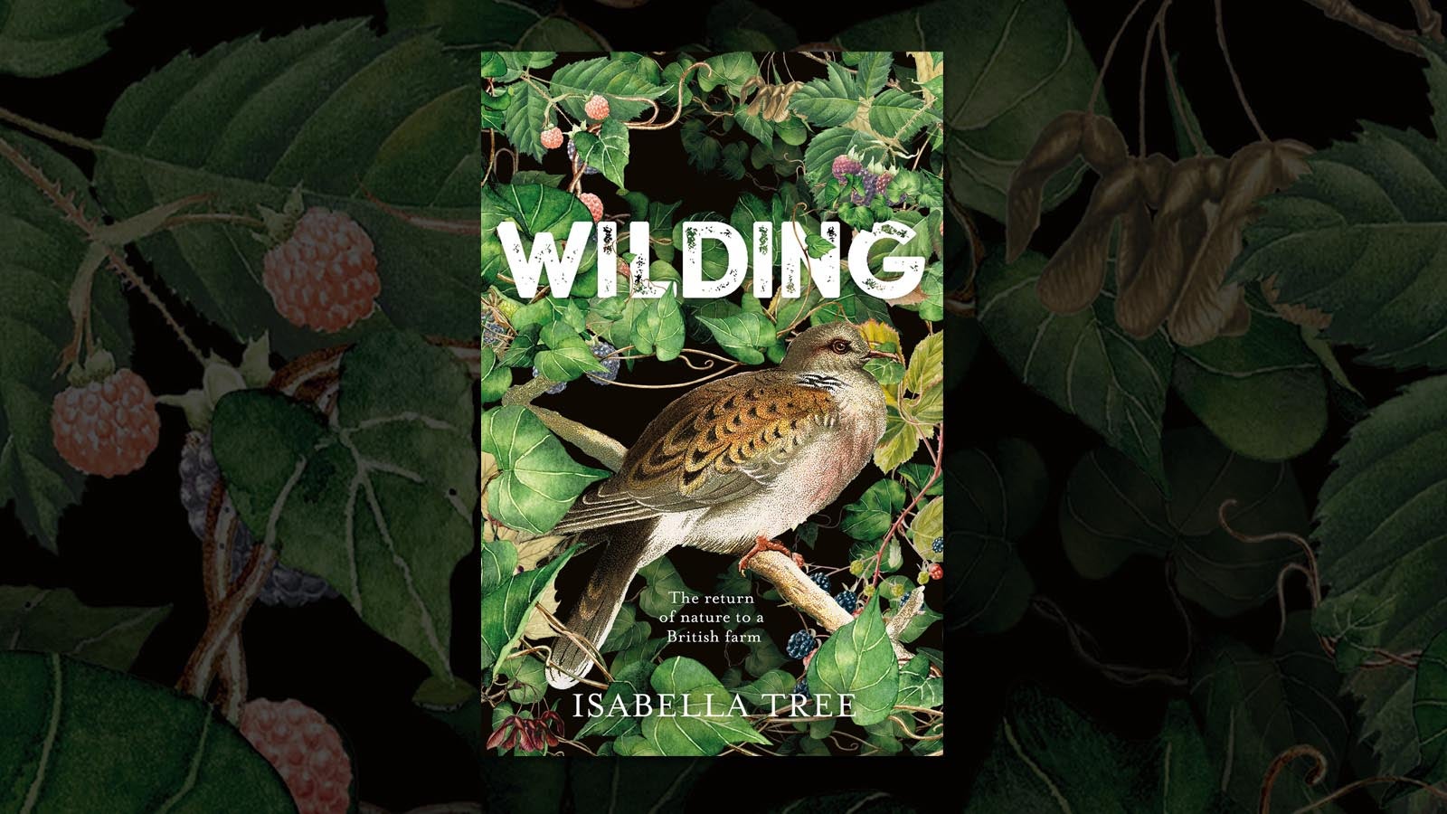 Jacket cover for Wilding by Isabella Tree , featuring a bird surrounded by foliage