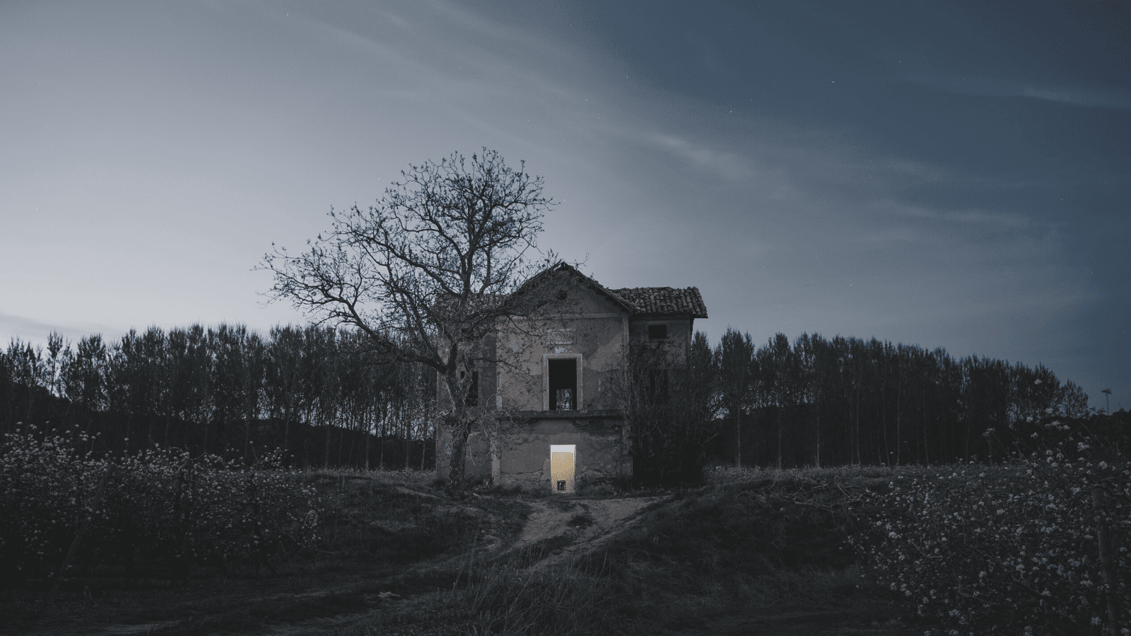 Spooky looking house in field with trees