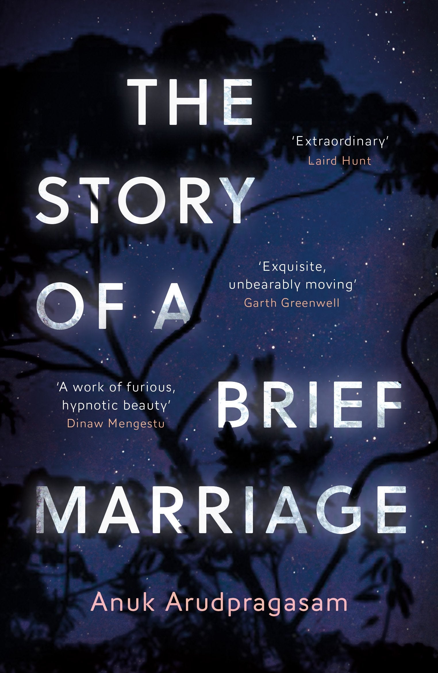 Book cover for The Story of a Brief Marriage