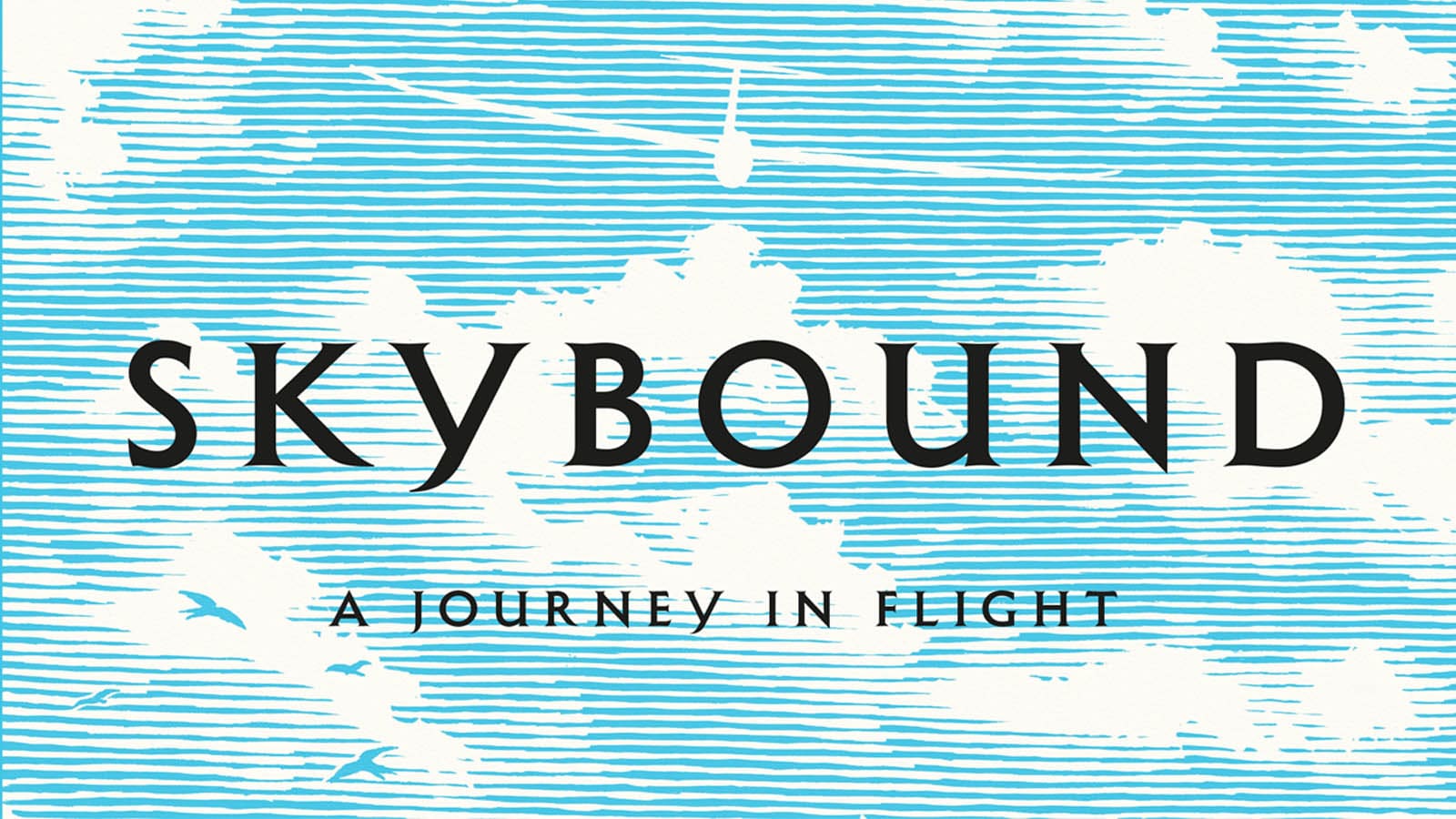 Skybound: a journey in flight