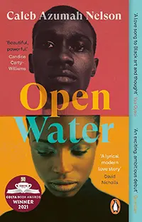 Book cover for Open Water