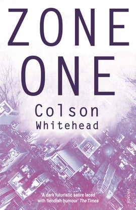 Book cover for Zone One 