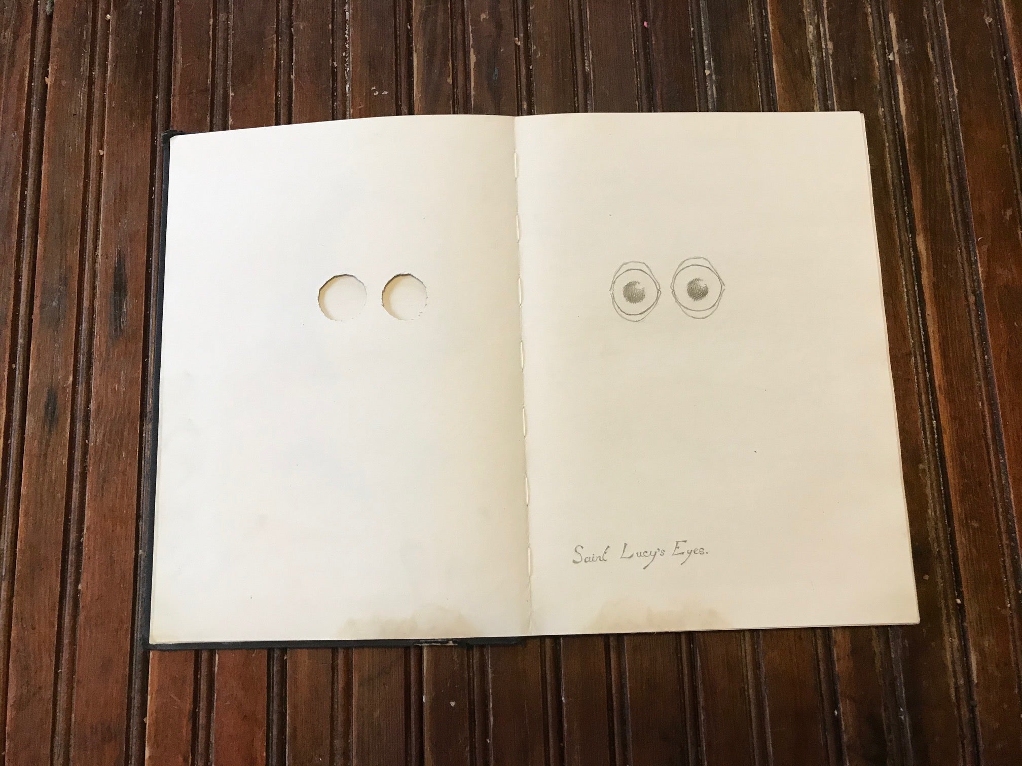 Saint Lucy's eyes drawing by Edward Carey Saint Lucy's eyes drawing by Edward Carey