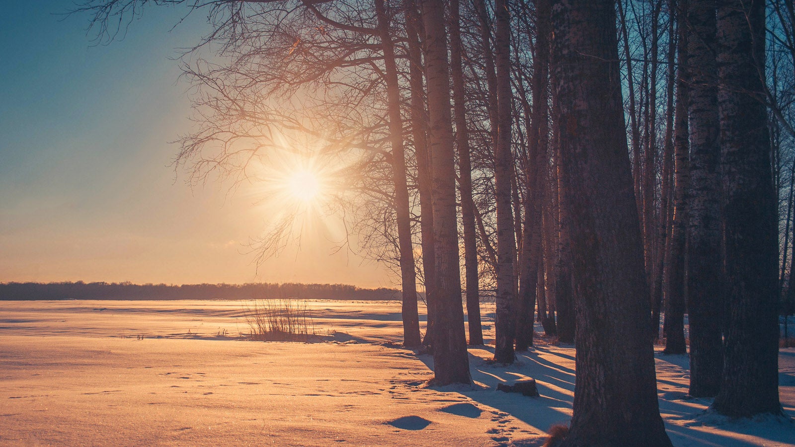 winter-sunset-winter-solstice-poem-sean-o-brien.jpg