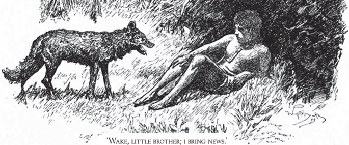 Illustration from a classic edition of The Jungle Book.