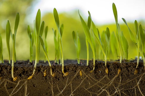 Foto: Projekt Cedric