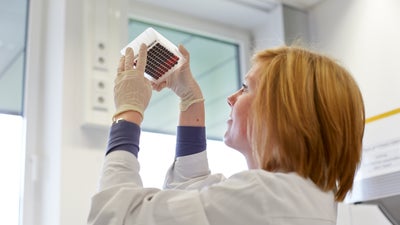 In the DKMS Life Science Lab, an employee checks a prepared blood sample panel for the correct fill level. In the DKMS Life Science Lab, an employee checks a prepared blood sample panel for the correct fill level.