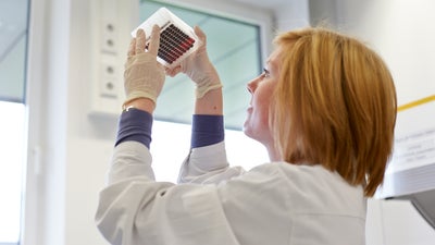 In the DKMS Life Science Lab, an employee checks a prepared blood sample panel for the correct fill level.