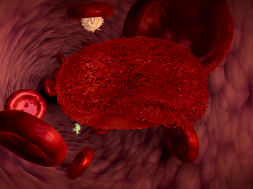 blood cells blood cells