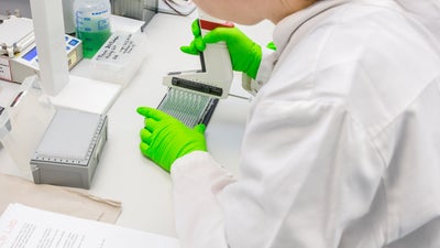 Pipetting process in the DKMS laboratory Pipetting process in the DKMS laboratory