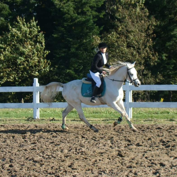 Fundacja DKMS Fundacja DKMS