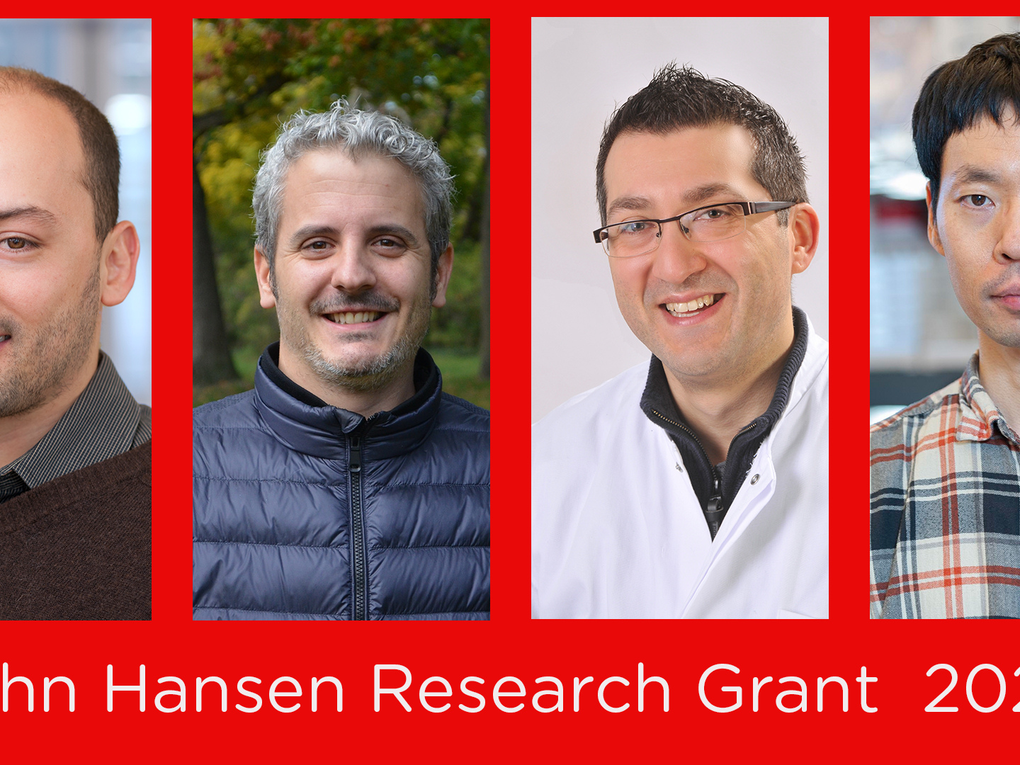 Zdobywcy Grantu Badawczego im. Johna Hansena 2021 Zdobywcy Grantu Badawczego im. Johna Hansena 2021