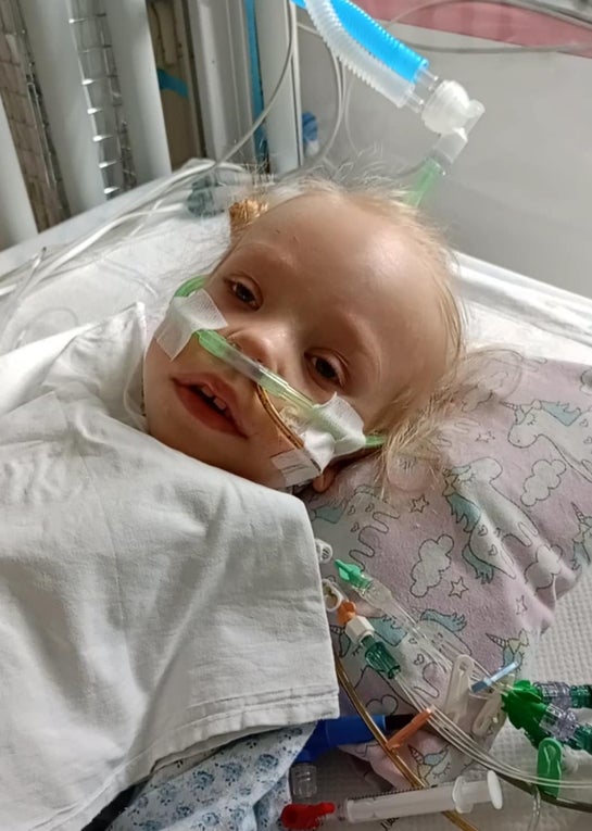 Mia Olczyk Mia Olczyk