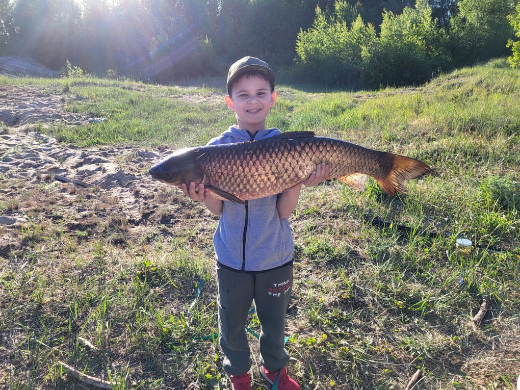 Wiktor Ludwikowski Wiktor Ludwikowski