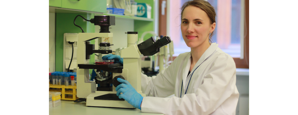 dr Agata Szade pracuje nad nową metodą mobilizacji komórek macierzystych ze szpiku do krwi. dr Agata Szade pracuje nad nową metodą mobilizacji komórek macierzystych ze szpiku do krwi.