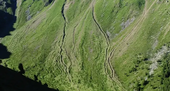 Geologische und geothematische Erhebungen