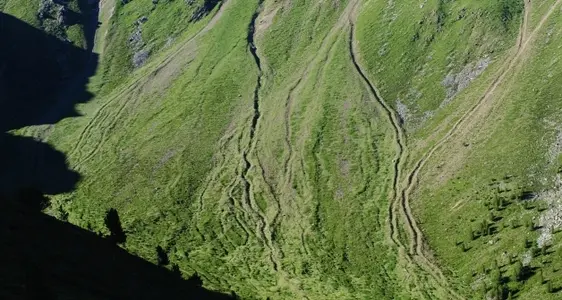 Geologische und geothematische Erhebungen