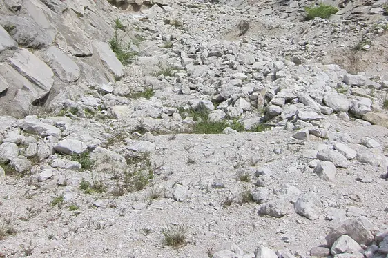Kanal des Rio Cucco in Detailaufnahme (Blick nach Nordwest)
