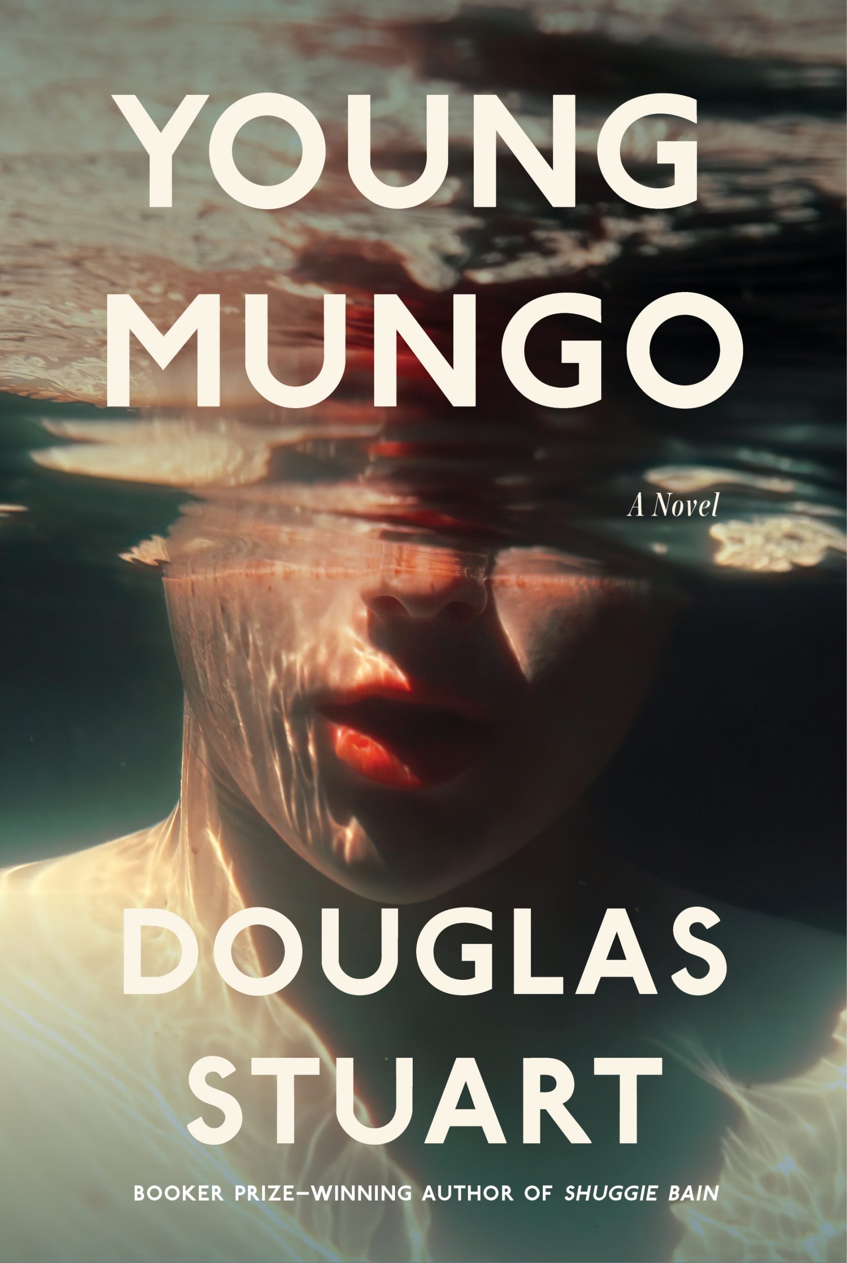 Book cover for Young Mungo