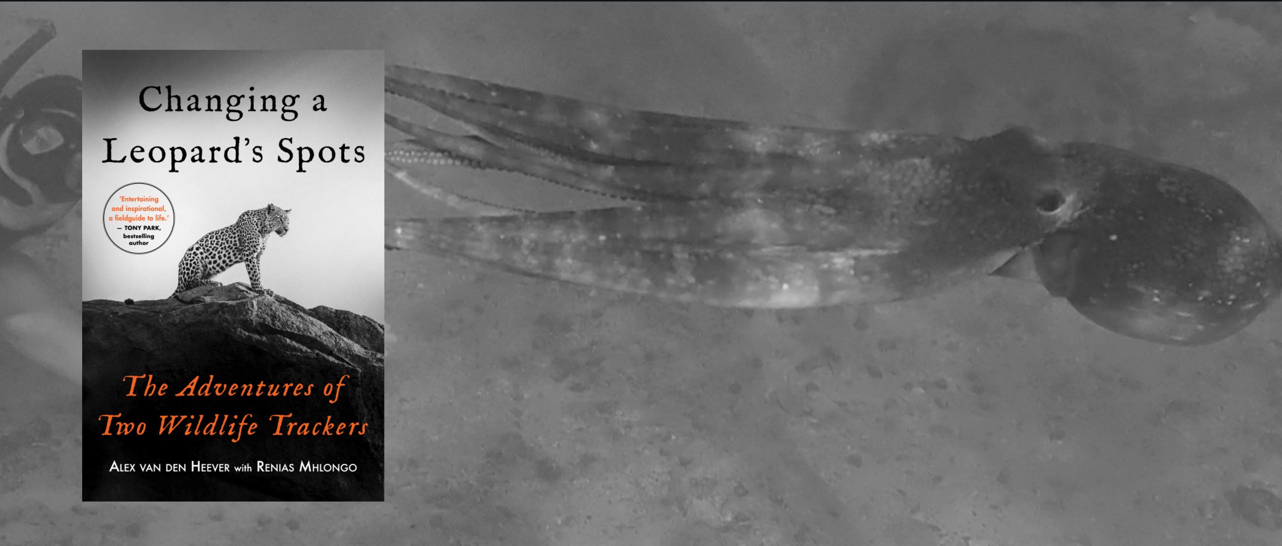 Picture of an Octopus, with the book 'Changing a Leopard's Spots' featured on it