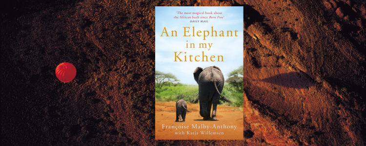 Picture of the book 'An Elephant in my Kitchen' - featuring a baby elephant walking with it's parent