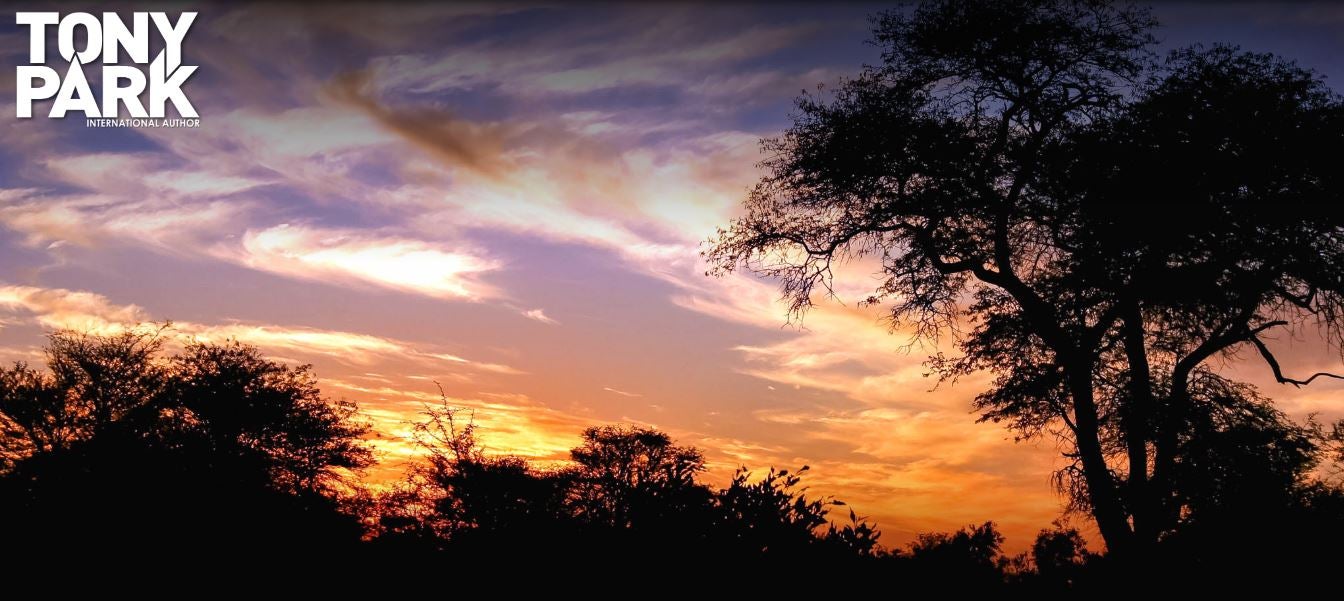 Image showing a sunset sky with trees in shadows.