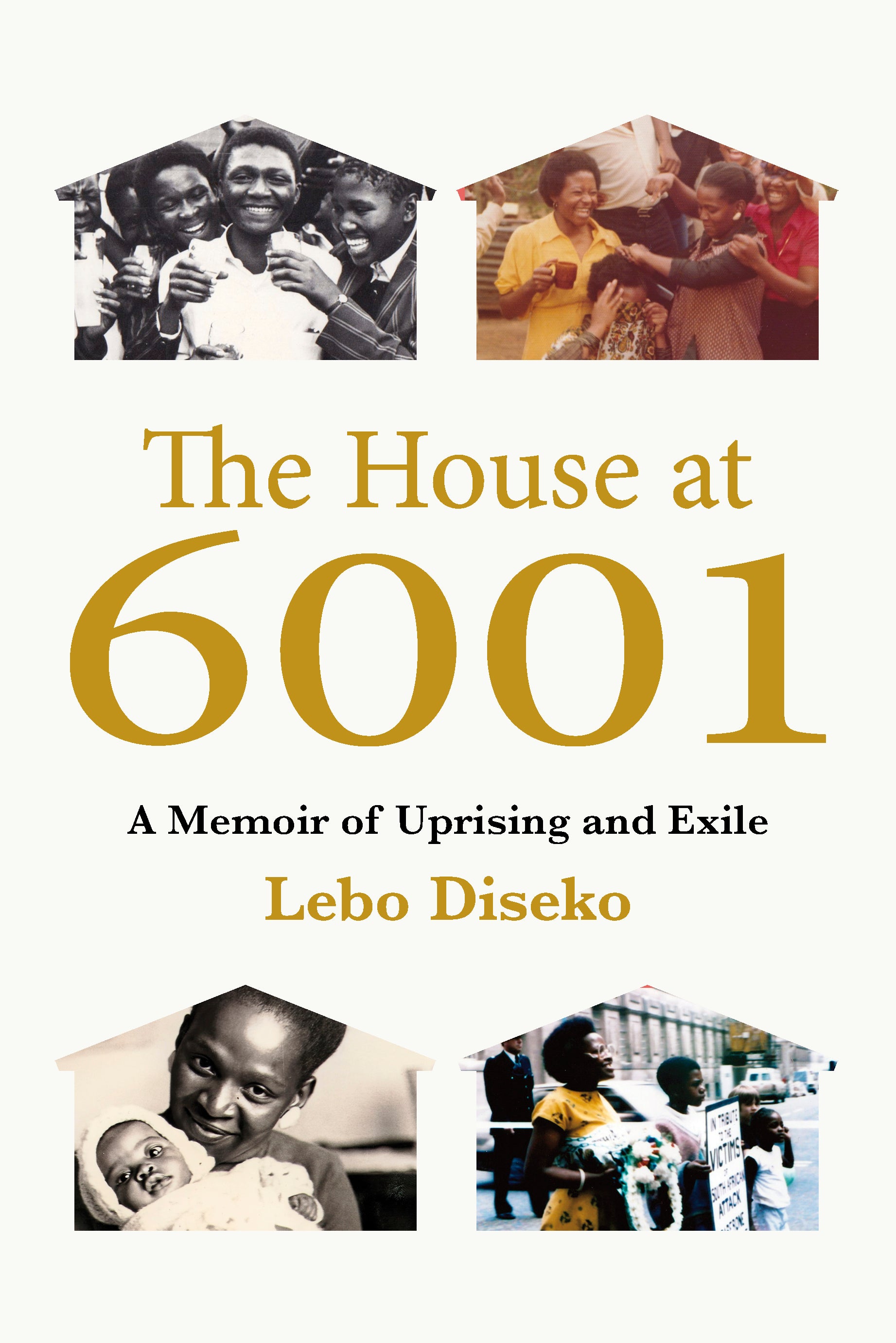 Book cover for The House at 6001